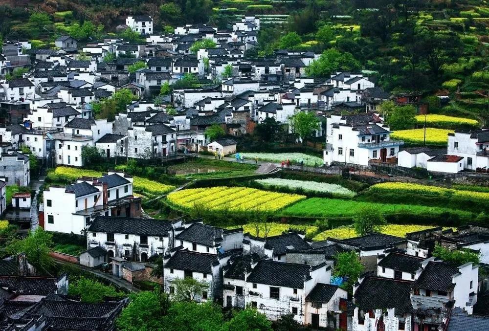 婺源适合几月份旅游（江西婺源旅游几月份去最好）(图3)