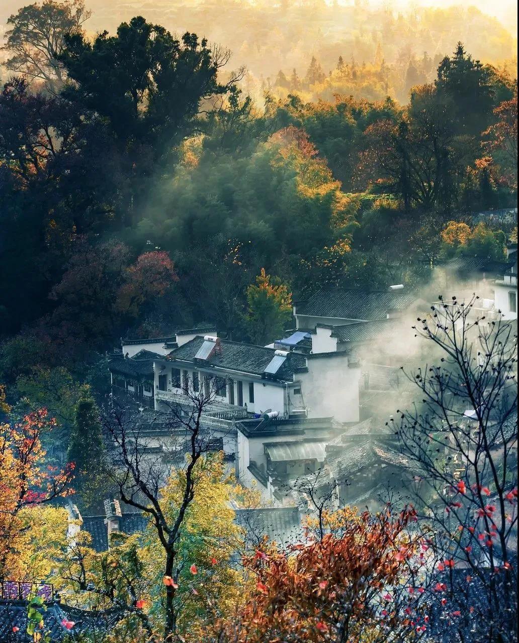 婺源适合几月份旅游（江西婺源旅游几月份去最好）(图6)
