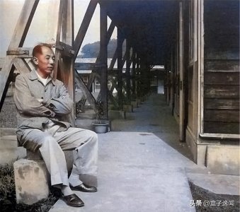 ​张学良险遭刺杀，蒋孝先妻子两次行刺未果