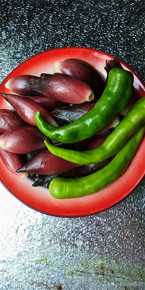 走,去深山“搬”阳荷姜去,对了,您认识阳荷姜吗?