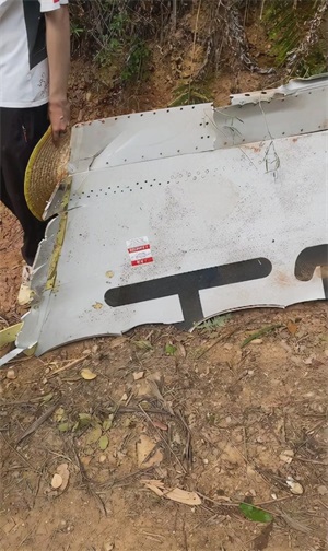波音737坠落132人是否身亡,一架波音737客机在广西坠毁(3)