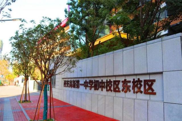 西安高新一中初中校区乘风破浪（我把西安名校）(11)