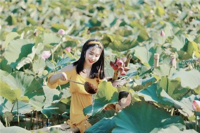 ​2024年生肖运势及运程