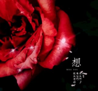 ​表白可以送什么花，表白爱情不一定只有玫瑰