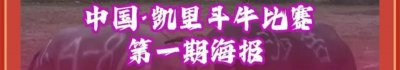 ​贵州省凯里斗牛场第一届牛王争霸赛