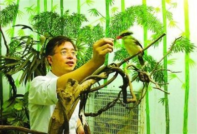 ​俗语：钓鱼穷三年，玩鸟毁一生，为什么流传下来这些说法