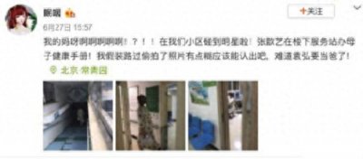 ​张歆艺怀孕了吗 网友偶遇张歆艺办理母子健康手册