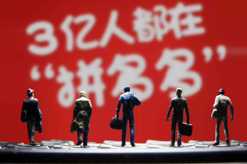 寄居蟹吃什么(寄居蟹,你还好吗?)