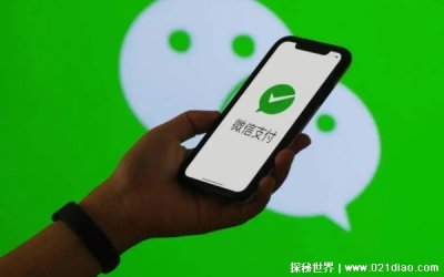 ​看微信被骗钱后该如何操作 诈骗金额三千元可以立案