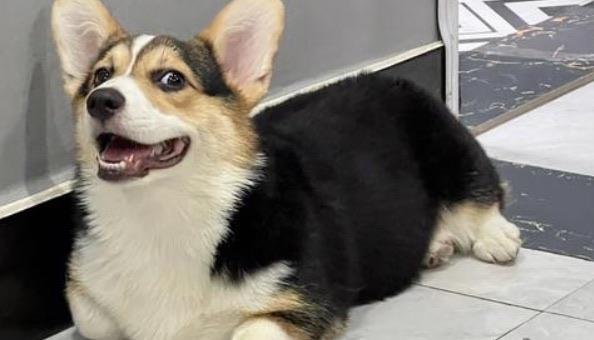 网络配图 网络配图