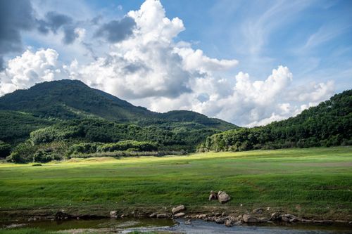 2.靠近水库的草地