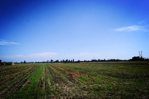 1.位于平原的公园