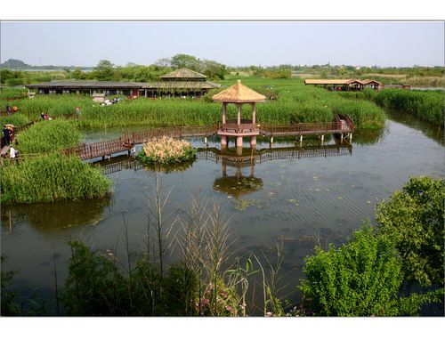 3.有湖泊的湿地公园