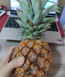 ​为啥吃菠萝要用盐水泡(菠萝食用前为什么要用盐水泡)