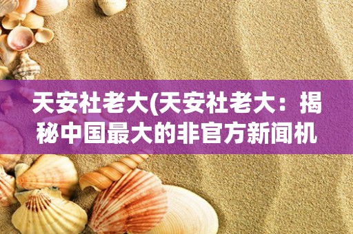 天安社老大(天安社老大:揭秘中国最大的非官方新闻机构)