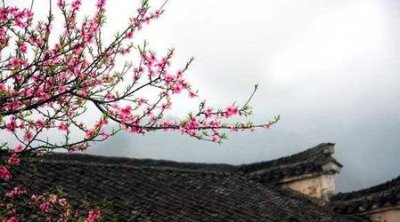 ​大门不出二门不迈是什么意思(二门不出大门不迈意思)