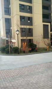 ​交完房后多久交契税(买完新房什么时候交契税)