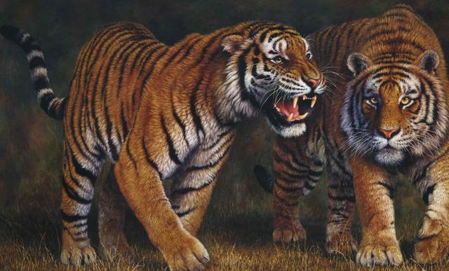 “豺狼虎豹”为什么豺排在第一位?