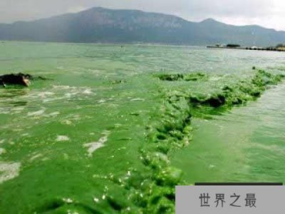 ​地球最早的生物是什么？出现在什么时候？