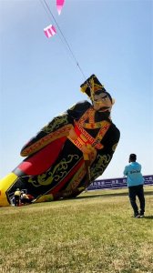 ​潍坊风筝火上天际！你知道全世界哪里收藏风筝最多吗？