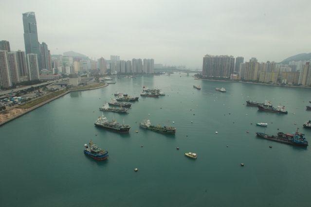 邓紫棋被歌迷求婚,表示要慎重考虑一下