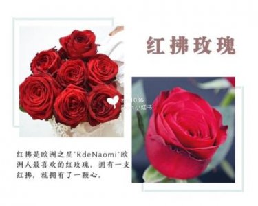 ​黑红玫瑰花语