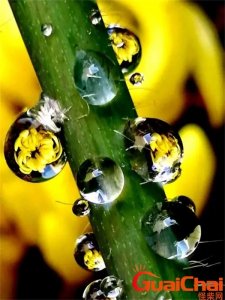 ​晶莹剔透的意思？晶莹剔透怎么写