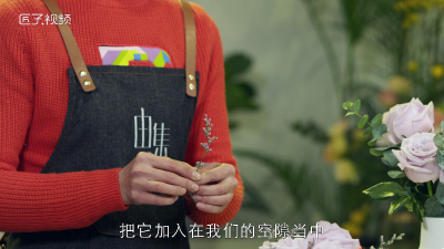 ​客厅花卉怎么选择