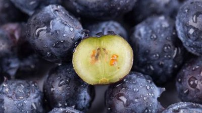 ​蓝莓的害处是什么