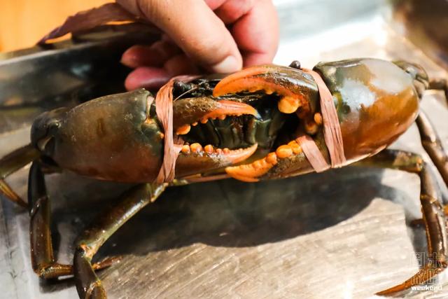 上海第一百货周年庆:第一百货盛大年中庆典(38)