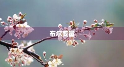 ​布尔变量(布尔变量是什么意思)