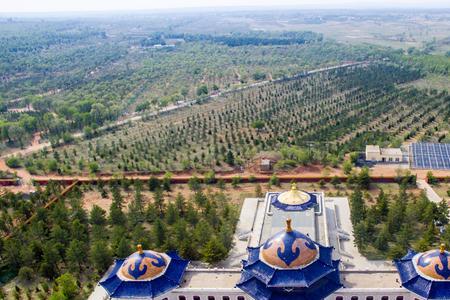 阿密达大汗真实结局