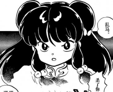 ​《乱马》人物志：珊璞