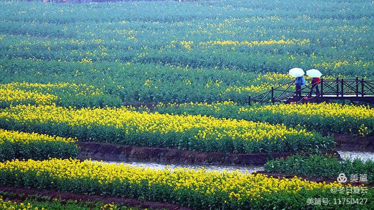 北京到婺源怎么去合适(北京到婺源旅游攻略)