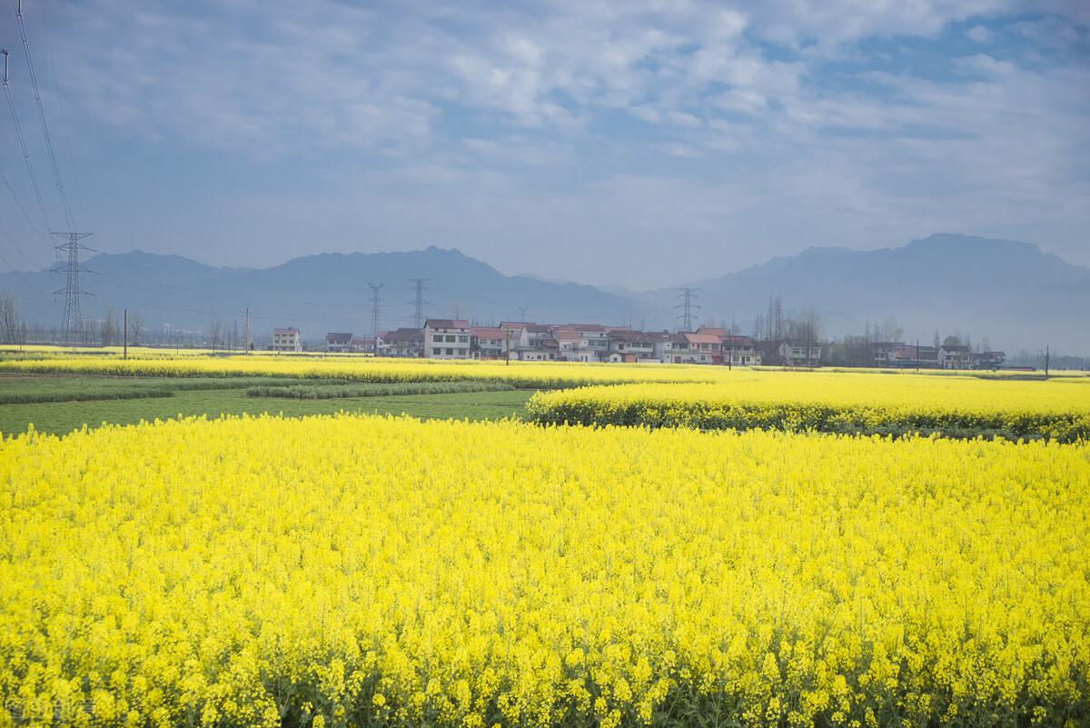 北京到婺源怎么去合适(北京到婺源旅游攻略)