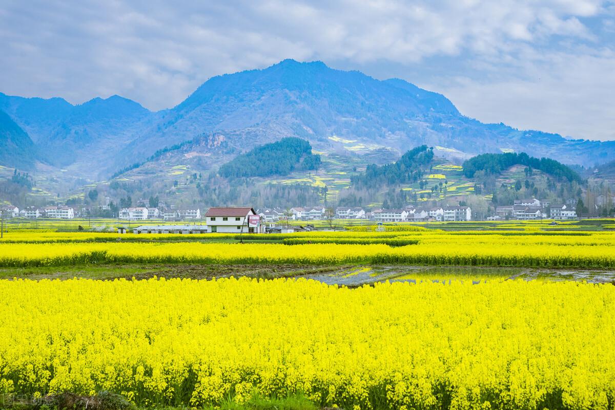 北京到婺源怎么去合适(北京到婺源旅游攻略)