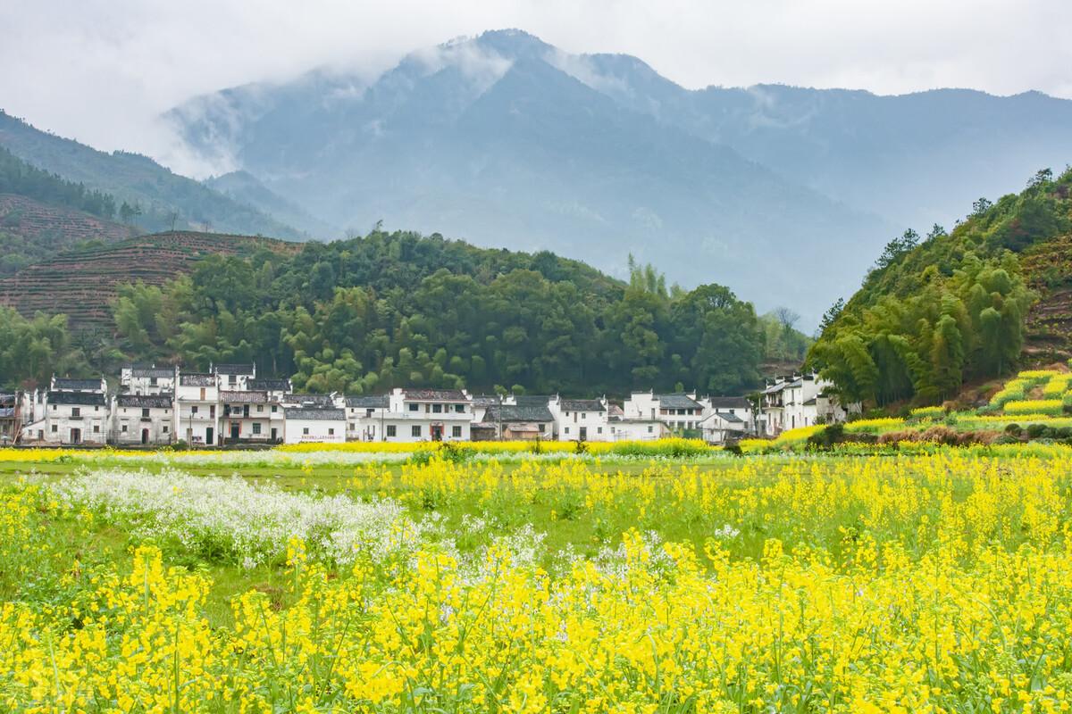 北京到婺源怎么去合适(北京到婺源旅游攻略)