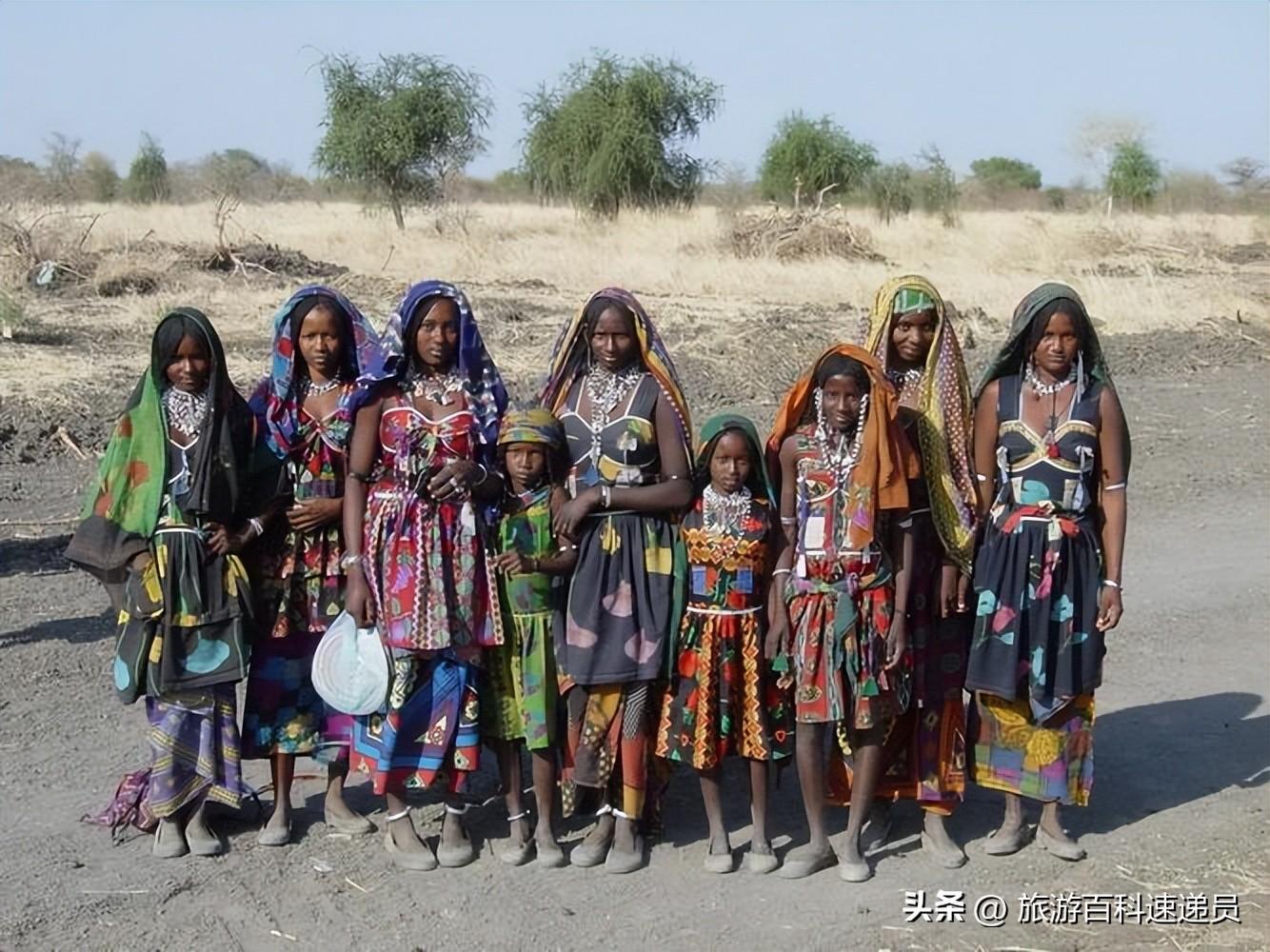 苏丹是哪个国家(苏丹是哪个洲的国家)