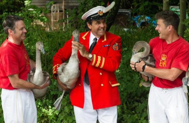 英国王室主要做什么(英国王室的13个职位)(12)