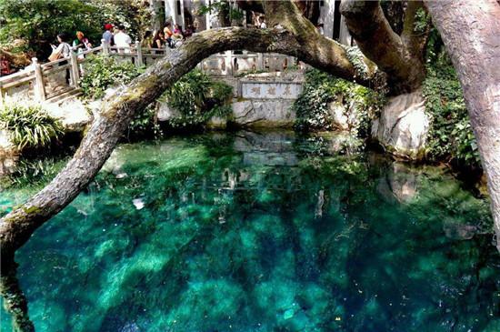 广西桂林阳朔的山水(找到语文书上的桂林)(9)