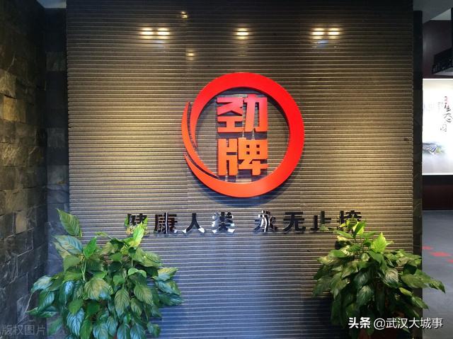 武汉城市圈有几个县（武汉城市圈10个县级市15个县）(3)