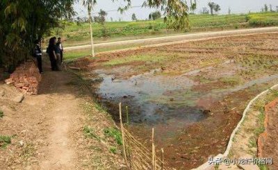 ​养殖龙虾的真实利润有多少？养殖成本需要哪些？