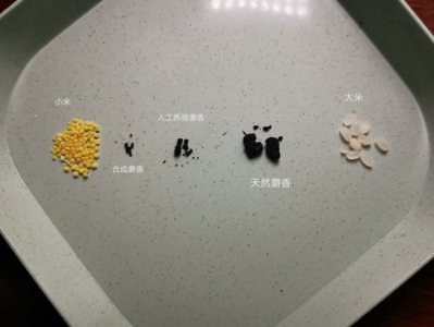 ​麝香什么味道（天然麝香和人工麝香的区别都有哪些）