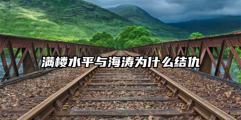 满楼水平和海涛相比如何_满楼水平与海涛关系