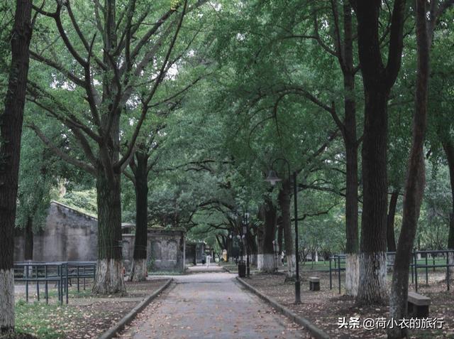 东吴大学怎么样(就读东吴大学是怎样的体验)