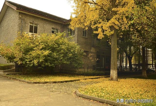 东吴大学怎么样(就读东吴大学是怎样的体验)