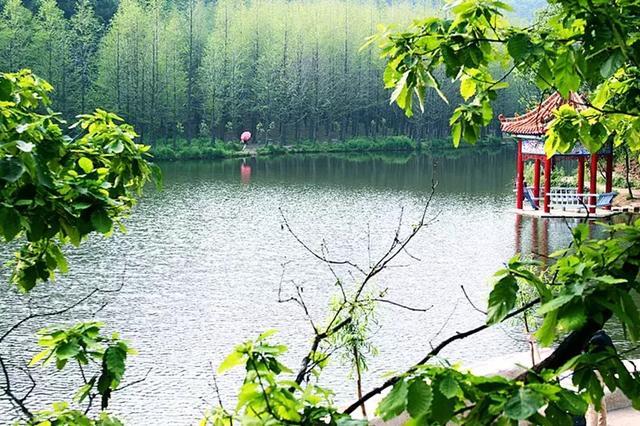 嵩县是哪个省哪个市(嵩县属于哪个市)