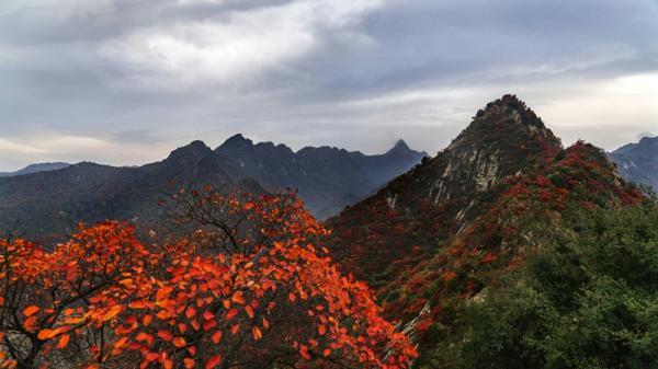 嵩县是哪个省哪个市(嵩县属于哪个市)