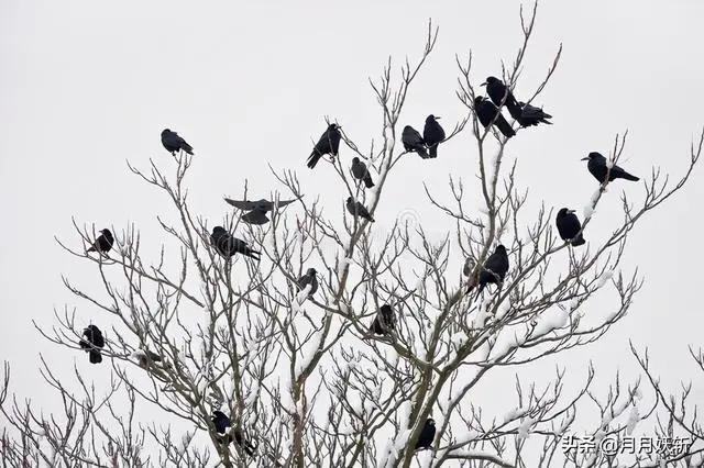 吃饭睡觉打豆豆是什么意思 吃饭睡觉打豆豆是什么意思