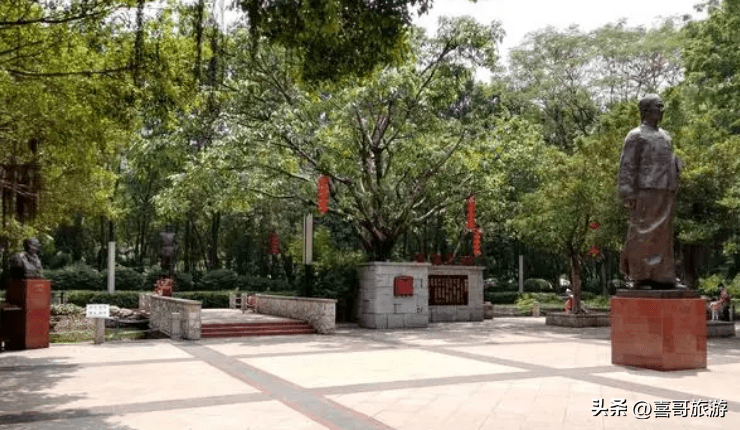 荔湾区在广州的什么位置(荔湾区面积多大)